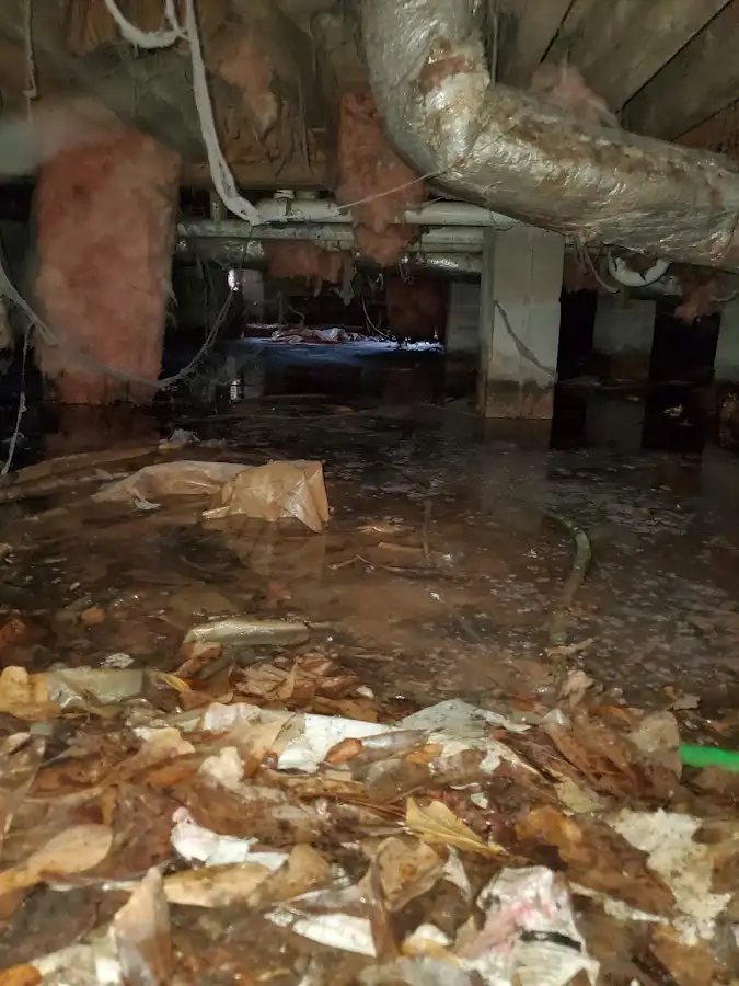 Crawl space flood assessment for Leak Detection & Repair in Hendersonville